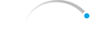 Bungie Logo